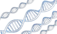 【PNG素材网-png.mixinnet.cn】多肽分子h2o水分子