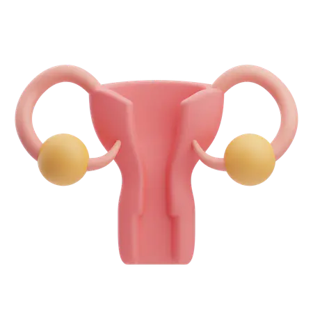 【PNG素材网-png.mixinnet.cn】子宫