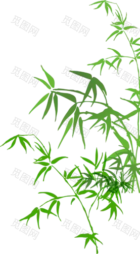 植物 叶子 竹叶 png 绿色png素材