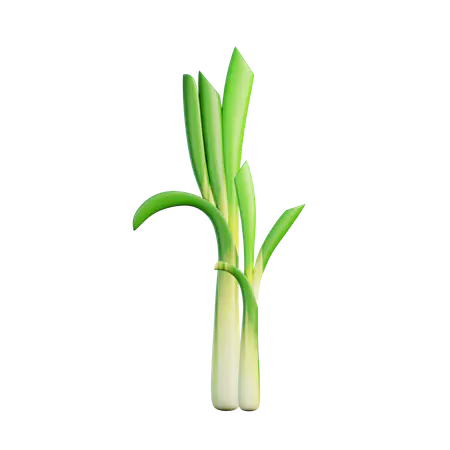 【PNG素材网-png.mixinnet.cn】韭菜