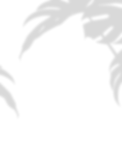 【PNG素材网-png.mixinnet.cn】植物投影