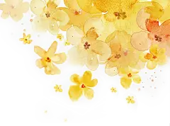 【PNG素材网-png.mixinnet.cn】桂花 金色 手绘