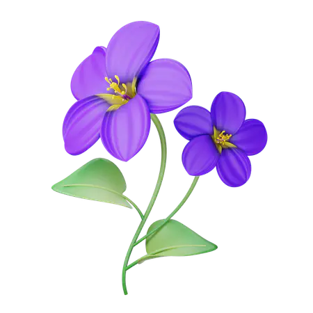 【PNG素材网-png.mixinnet.cn】紫罗兰