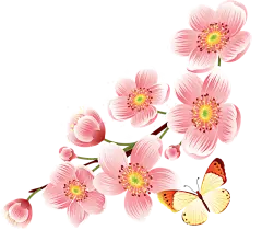 【PNG素材网-png.mixinnet.cn】樱花
