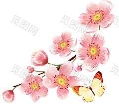 樱花
