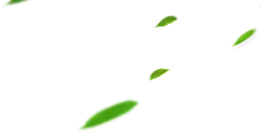 【PNG素材网-png.mixinnet.cn】叶-飘叶