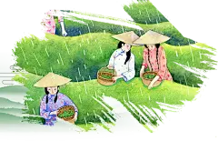 【PNG素材网-png.mixinnet.cn】茶叶 女人