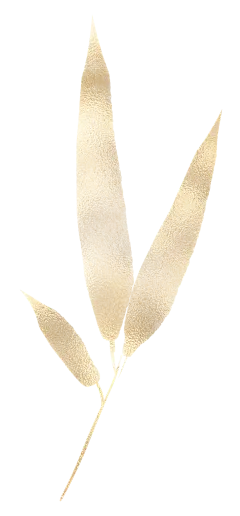 【PNG素材网-png.mixinnet.cn】金竹叶