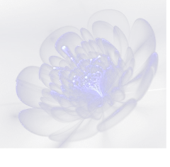 【觅图网-pic.51mitu.com】透明花