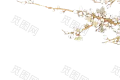 58YrV0 花枝 白梅2  常用  png