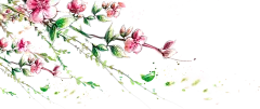 【PNG素材网-png.mixinnet.cn】png中秋节月饼月亮装饰元素
@郭设计师