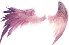 【PNG素材网-png.mixinnet.cn】10传统复古祥云 灯笼 福娃 扇子 鼓 腊梅 梅花 对联 城门 火炮 鞭炮 窗棂 卷轴 印章 龙 狮子 元宝 樱花 燕子传统元素免扣PNG素材免扣素材