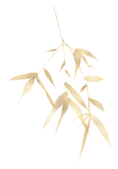 【PNG素材网-png.mixinnet.cn】金竹叶