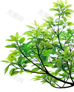 绿色清新世外桃源文艺植物