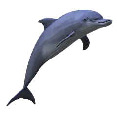 【PNG素材网-png.mixinnet.cn】PNG动物素材#海豚#