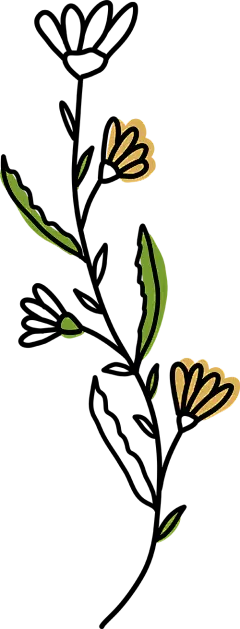 【PNG素材网-png.mixinnet.cn】手绘植物插画 PNG免抠图