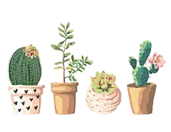 【PNG素材网-png.mixinnet.cn】卡通植物