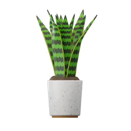 【PNG素材网-png.mixinnet.cn】蛇植物