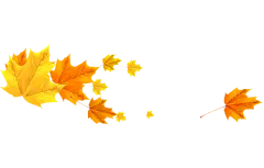【PNG素材网-png.mixinnet.cn】枫叶