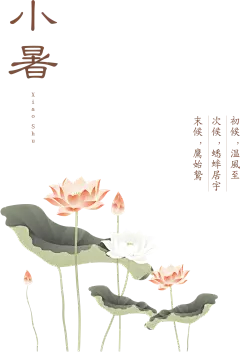 二十四节气 小暑 png