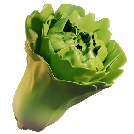 【PNG素材网-png.mixinnet.cn】生菜