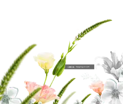 【PNG素材网-png.mixinnet.cn】[美工云]折纸鲜花免抠_PNG：