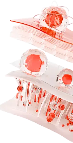 【PNG素材网-png.mixinnet.cn】ff0c7cd4457de471affbbdfc9c7f24de8065c548b1263-jeV92o