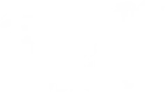 Running On Experience