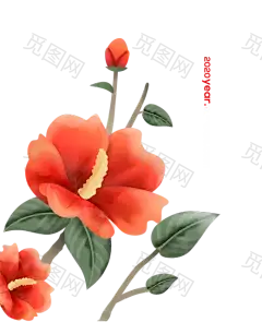 手绘春季春天鲜花免抠_PNG：