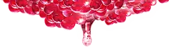 【PNG素材网-png.mixinnet.cn】红石榴