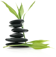 【PNG素材网-png.mixinnet.cn】Spa.