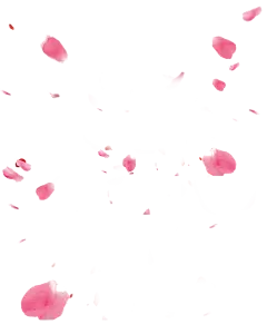 【PNG素材网-png.mixinnet.cn】花瓣素材漂浮免扣png  更多透明素材尽在----<a class="text-meta meta-mention" href="/aishangwo8/&quot