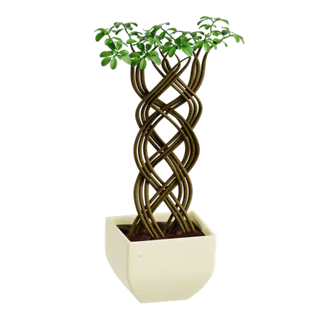 【PNG素材网-png.mixinnet.cn】网状榕树