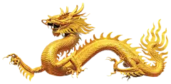 【PNG素材网-png.mixinnet.cn】金龙中国龙飞龙龙腾龙纹中国风免抠png元素素材，【查看来源浏览大图】1593*762像素