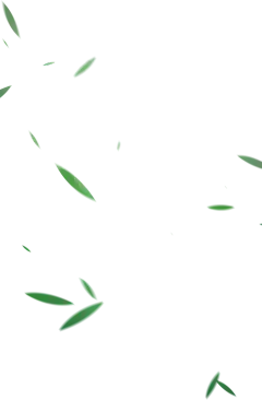 【PNG素材网-png.mixinnet.cn】竹叶