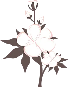 【PNG素材网-png.mixinnet.cn】花 高清免抠素材