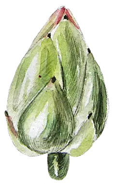 【PNG素材网-png.mixinnet.cn】花雷PNG