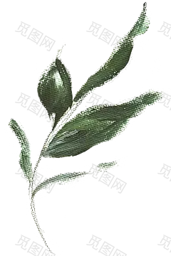 油画植物png (11)