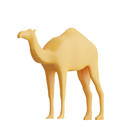 【PNG素材网-png.mixinnet.cn】骆驼