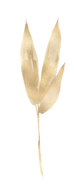 【PNG素材网-png.mixinnet.cn】金竹叶