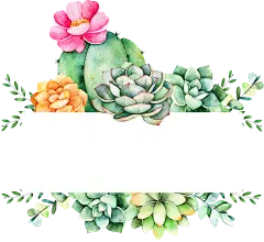 【PNG素材网-png.mixinnet.cn】多肉PNG