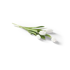 【PNG素材网-png.mixinnet.cn】花绿植PNG免扣#素材#