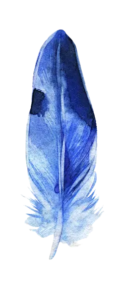 【PNG素材网-png.mixinnet.cn】[美工云]手绘水彩鸡毛羽毛_免抠PNG：