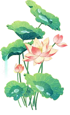 【PNG素材网-png.mixinnet.cn】荷花丛