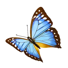 【PNG素材网-png.mixinnet.cn】蝴蝶素材png免扣@两秒视觉