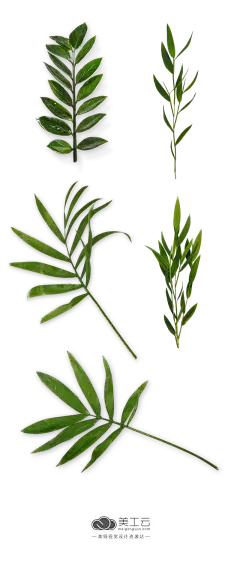 【PNG素材网-png.mixinnet.cn】PlaPlants-&amp;-Flowers-植物免摳素材PNG：