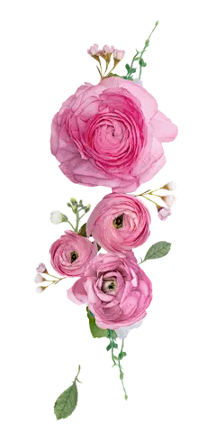 【PNG素材网-png.mixinnet.cn】鲜花树叶花卉_免抠PNG：