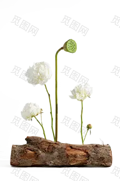 花花草草