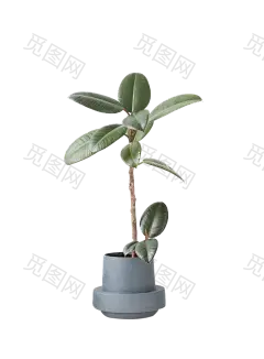 盆栽 植物 绿色叶子 透明素材 png 免扣素材&lt;br/&gt;北欧绿植居家装饰绿植 绿叶 透明素材&lt;br/&gt;