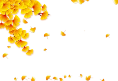 【PNG素材网-png.mixinnet.cn】绿叶 leaves
